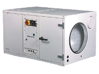 Осушитель воздуха для бассейнов Dantherm CDP 125 с электроподключением 220В